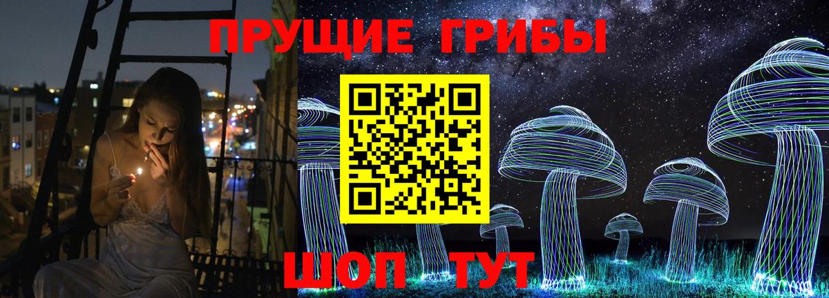 Галлюциногенные грибы Psilocybine cubensis  Вход с VPN  Северск 
